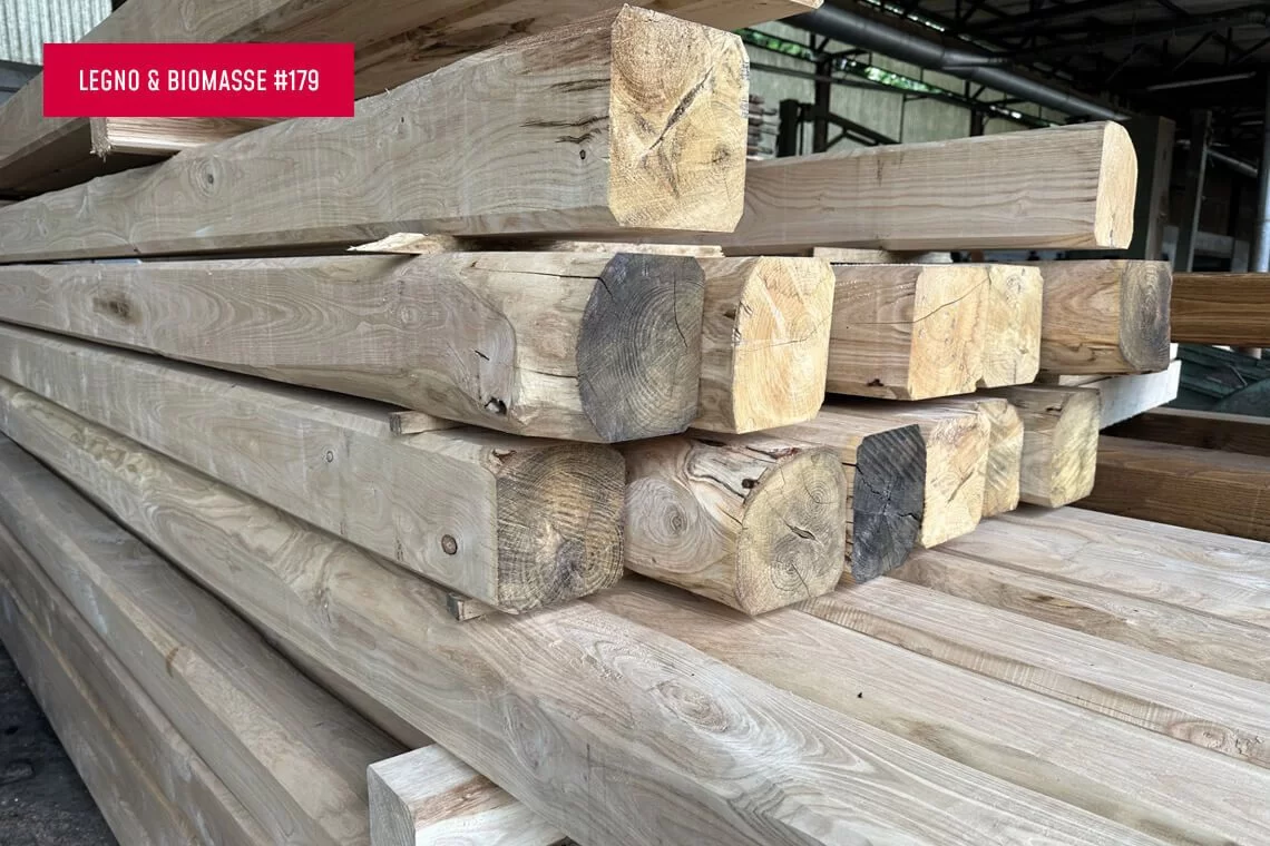 Disponibile il Report per la qualificazione del legname di quercia strutturale